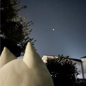 Meet your Posher, Erwin